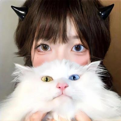 洛克人 向星星许愿